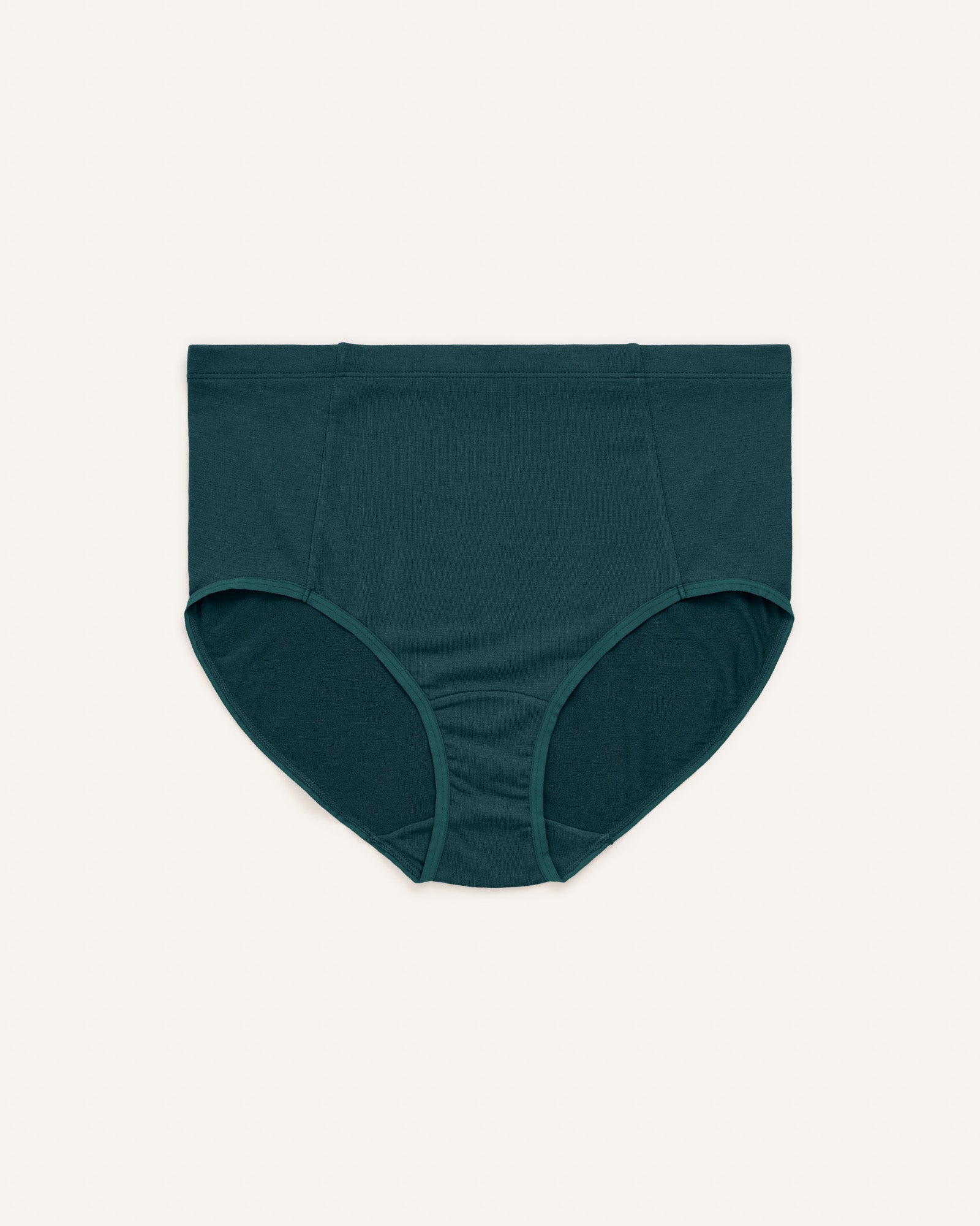 Roam High Waist Bikini